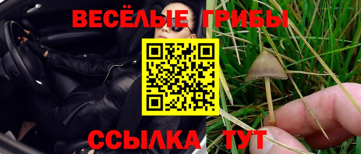 Галлюциногенные грибы прущие грибы  Вход с VPN  Чебоксары  Псилоцибиновые грибы Magic Shrooms 